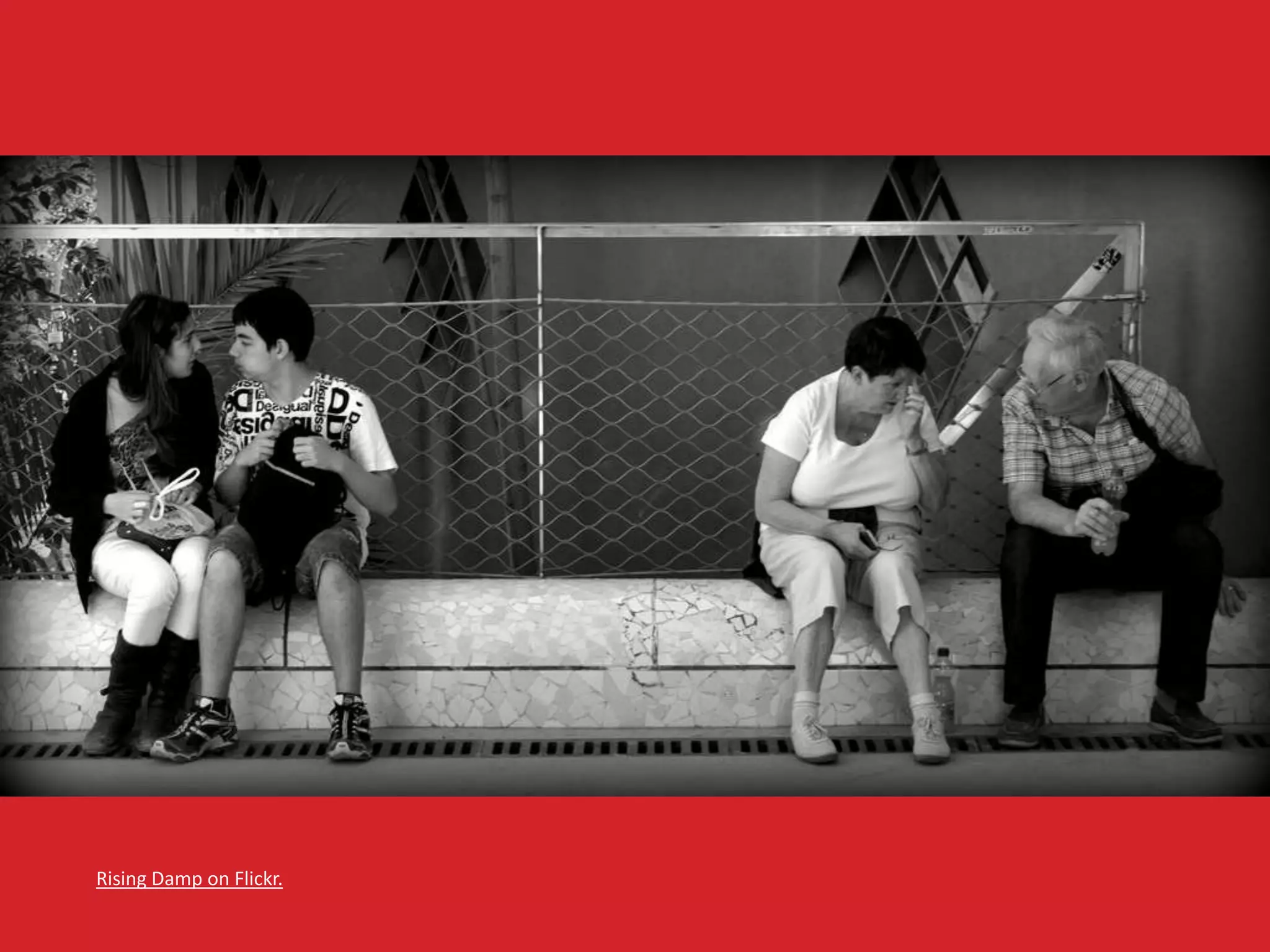 Rising Damp on Flickr. 
 