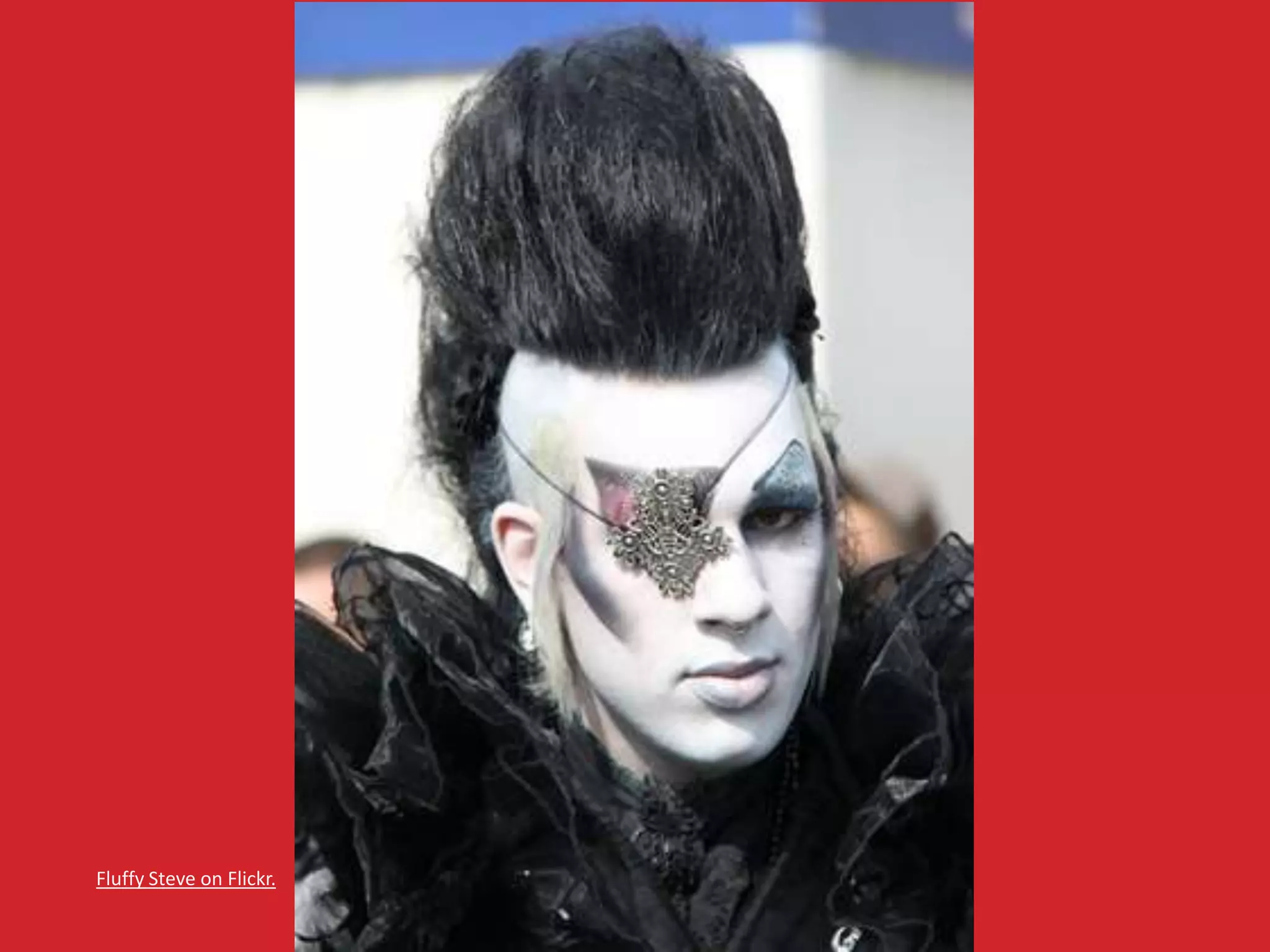 Fluffy Steve on Flickr. 
 