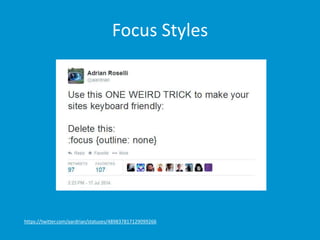 Focus Styles 
https://twitter.com/aardrian/statuses/489837817129099266 
 