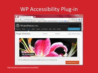 WP Accessibility Plug-in 
http://wordpress.org/plugins/wp-accessibility/ 
 