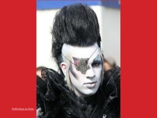 Fluffy Steve on Flickr. 
 
