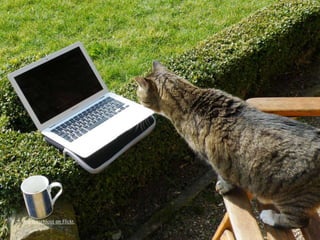 barockschloss on Flickr. 
 