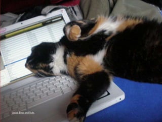 Jacob Enos on Flickr. 
 