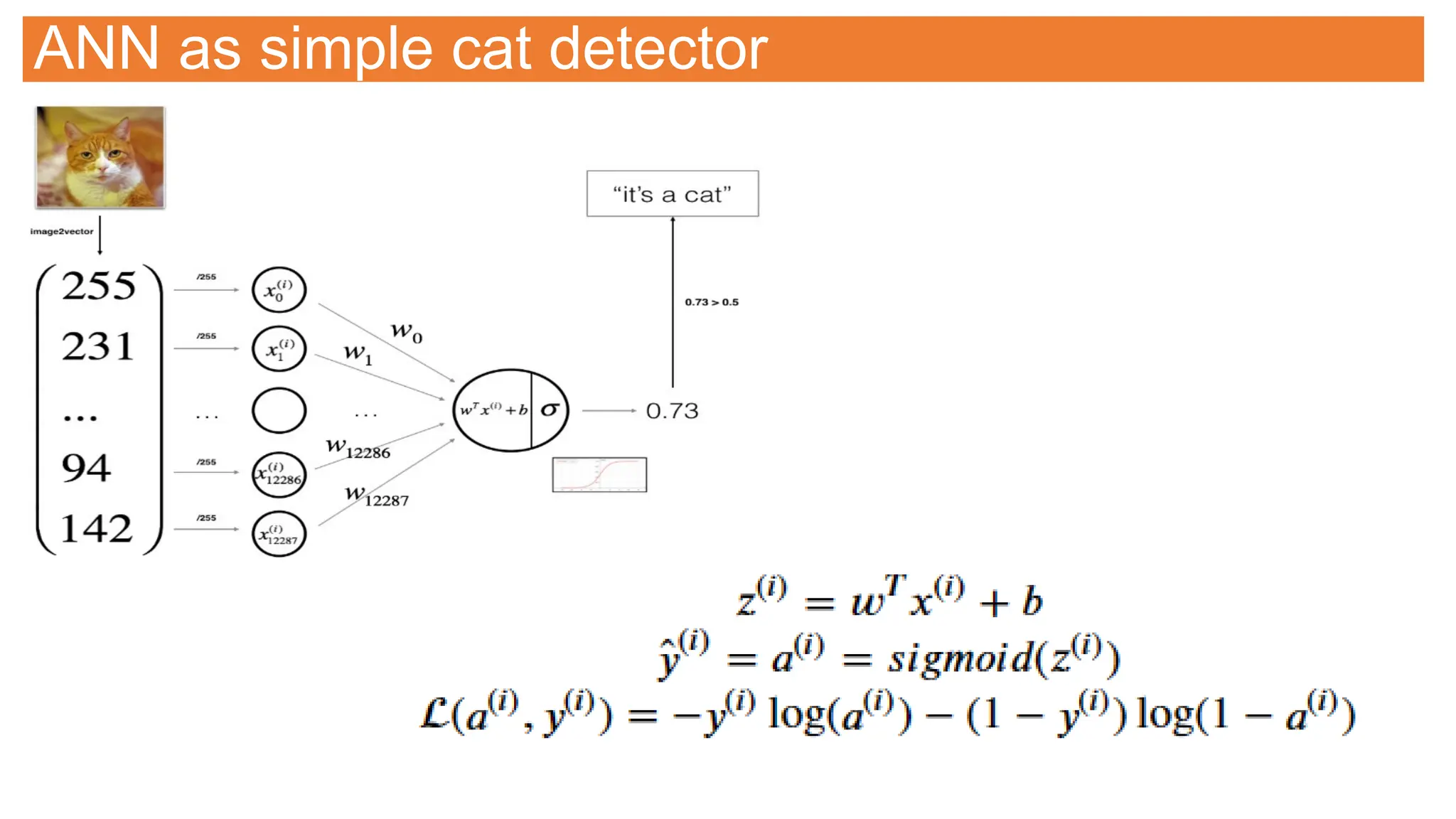 ANN as simple cat detector
 