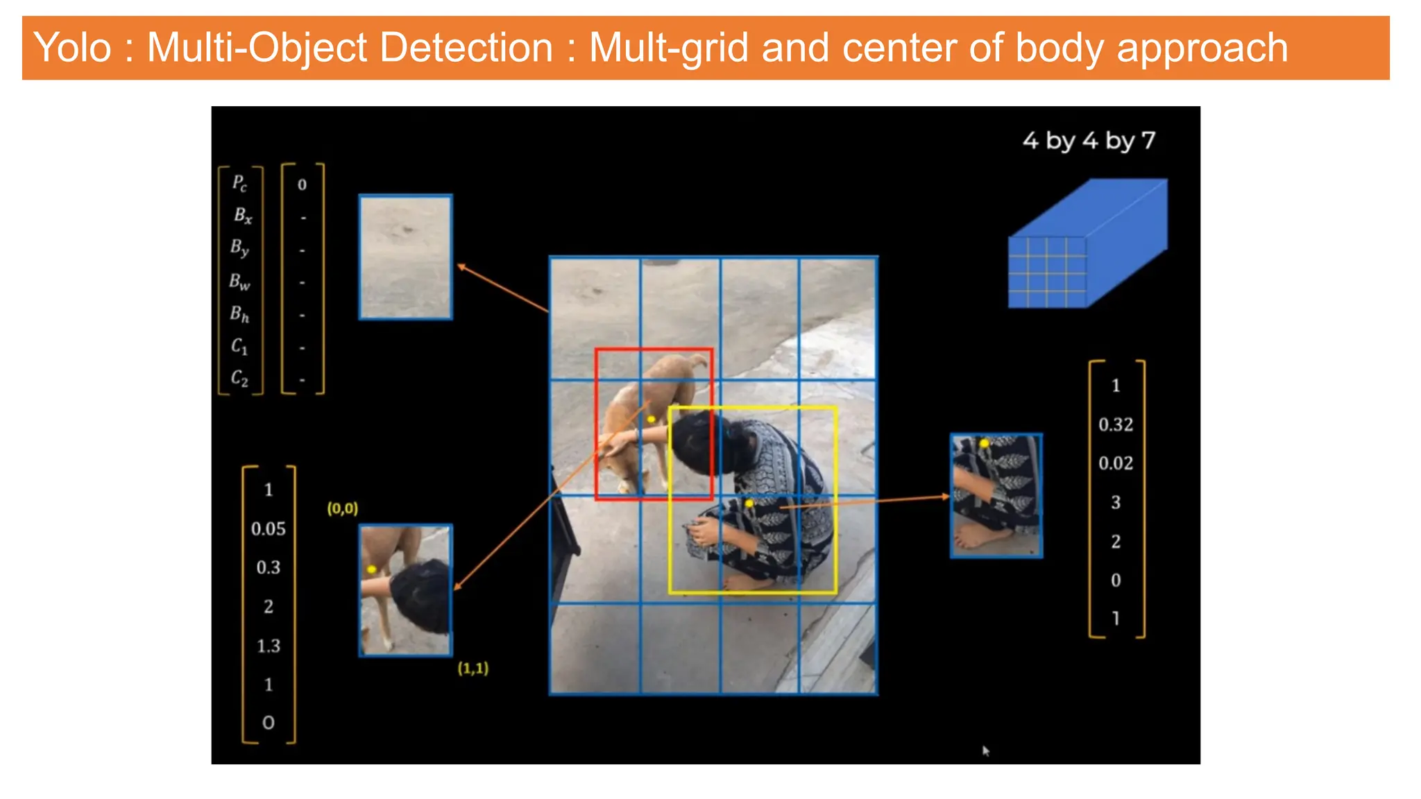Yolo : Multi-Object Detection : Mult-grid and center of body approach
 