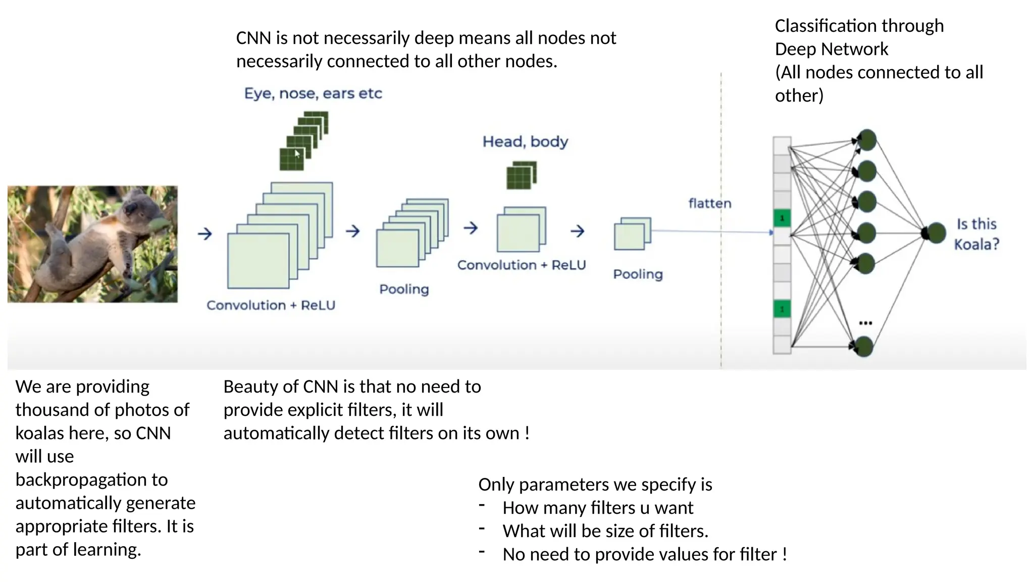 Beauty of CNN is that no need to
provide explicit filters, it will
automatically detect filters on its own !
Classification through
Deep Network
(All nodes connected to all
other)
CNN is not necessarily deep means all nodes not
necessarily connected to all other nodes.
We are providing
thousand of photos of
koalas here, so CNN
will use
backpropagation to
automatically generate
appropriate filters. It is
part of learning.
Only parameters we specify is
- How many filters u want
- What will be size of filters.
- No need to provide values for filter !
 