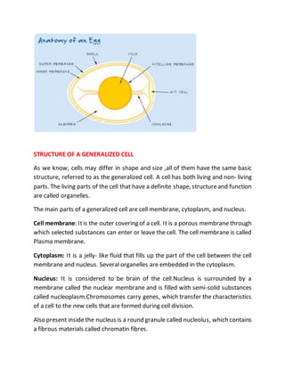 Generalization Cell Self learning material | DOCX