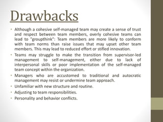 Self Managed Teams Examples