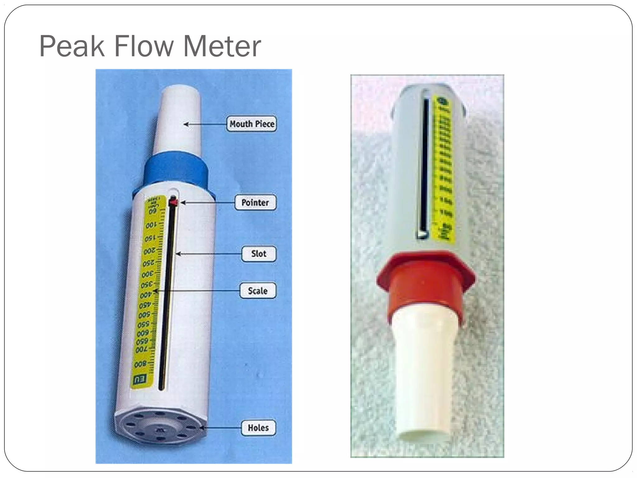 Peak Flow Meter
 