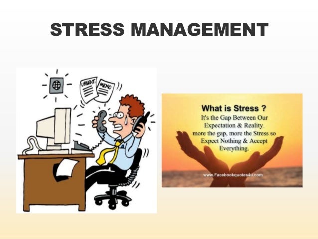 interpersonal skills in organizations pdf