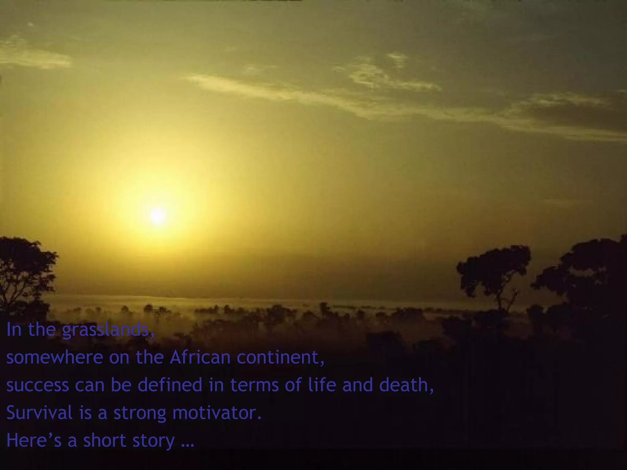 In the grasslands,
somewhere on the African continent,
success can be defined in terms of life and death,
Survival is a strong motivator.
Here’s a short story …
 