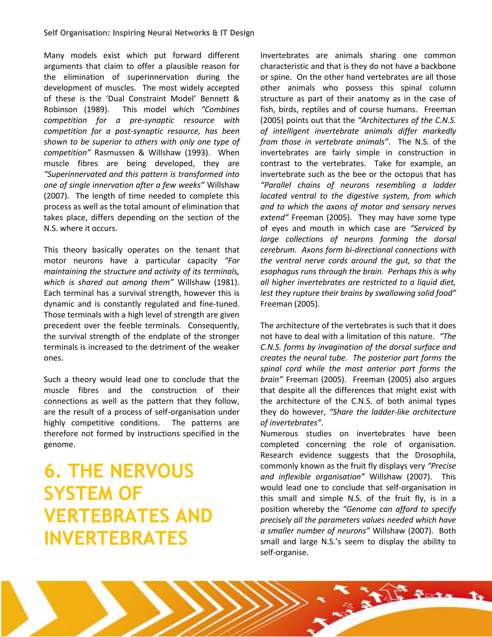 Self Organisation: Inspiring Neural Networks & IT Design

Many models exist which put forward different              Invertebrates are animals sharing one common
arguments that claim to offer a plausible reason for       characteristic and that is they do not have a backbone
the elimination of superinnervation during the             or spine. On the other hand vertebrates are all those
development of muscles. The most widely accepted           other animals who possess this spinal column
of these is the ‘Dual Constraint Model’ Bennett &          structure as part of their anatomy as in the case of
Robinson (1989). This model which “Combines                fish, birds, reptiles and of course humans. Freeman
competition for a pre-synaptic resource with               (2005) points out that the “Architectures of the C.N.S.
competition for a post-synaptic resource, has been         of intelligent invertebrate animals differ markedly
shown to be superior to others with only one type of       from those in vertebrate animals”. The N.S. of the
competition” Rasmussen & Willshaw (1993). When             invertebrates are fairly simple in construction in
muscle fibres are being developed, they are                contrast to the vertebrates. Take for example, an
“Superinnervated and this pattern is transformed into      invertebrate such as the bee or the octopus that has
one of single innervation after a few weeks” Willshaw      “Parallel chains of neurons resembling a ladder
(2007). The length of time needed to complete this         located ventral to the digestive system, from which
process as well as the total amount of elimination that    and to which the axons of motor and sensory nerves
takes place, differs depending on the section of the       extend” Freeman (2005). They may have some type
N.S. where it occurs.                                      of eyes and mouth in which case are “Serviced by
                                                           large collections of neurons forming the dorsal
This theory basically operates on the tenant that          cerebrum. Axons form bi-directional connections with
motor neurons have a particular capacity “For              the ventral nerve cords around the gut, so that the
maintaining the structure and activity of its terminals,   esophagus runs through the brain. Perhaps this is why
which is shared out among them” Willshaw (1981).           all higher invertebrates are restricted to a liquid diet,
Each terminal has a survival strength, however this is     lest they rupture their brains by swallowing solid food”
dynamic and is constantly regulated and fine-tuned.        Freeman (2005).
Those terminals with a high level of strength are given
precedent over the feeble terminals. Consequently,         The architecture of the vertebrates is such that it does
the survival strength of the endplate of the stronger      not have to deal with a limitation of this nature. “The
terminals is increased to the detriment of the weaker      C.N.S. forms by invagination of the dorsal surface and
ones.                                                      creates the neural tube. The posterior part forms the
                                                           spinal cord while the most anterior part forms the
Such a theory would lead one to conclude that the          brain” Freeman (2005). Freeman (2005) also argues
muscle fibres and the construction of their                that despite all the differences that might exist with
connections as well as the pattern that they follow,       the architecture of the C.N.S. of both animal types
are the result of a process of self-organisation under     they do however, “Share the ladder-like architecture
highly competitive conditions. The patterns are            of invertebrates”.
therefore not formed by instructions specified in the      Numerous studies on invertebrates have been
genome.                                                    completed concerning the role of organisation.
                                                           Research evidence suggests that the Drosophila,

6. THE NERVOUS                                             commonly known as the fruit fly displays very “Precise
                                                           and inflexible organisation” Willshaw (2007). This

SYSTEM OF
                                                           would lead one to conclude that self-organisation in
                                                           this small and simple N.S. of the fruit fly, is in a

VERTEBRATES AND
                                                           position whereby the “Genome can afford to specify
                                                           precisely all the parameters values needed which have

INVERTEBRATES
                                                           a smaller number of neurons” Willshaw (2007). Both
                                                           small and large N.S.’s seem to display the ability to
                                                           self-organise.
 