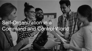 Self-Organization in a
Command and Control World
© 2016 beLithe, Inc.
 