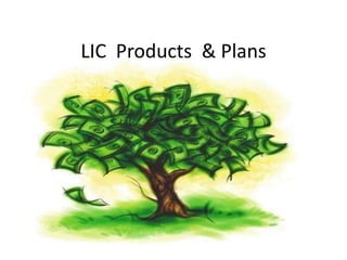 LIC Products & Plans

 