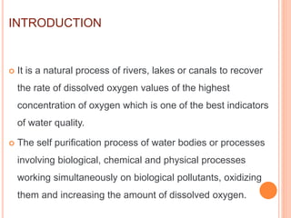 Self purification of river water | PPT