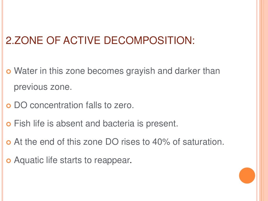 Self purification of river water
