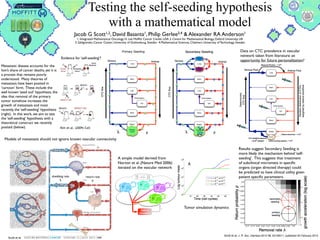Primary Seeding
Testing the self-seeding hypothesis
with a mathematical model
Jacob G Scott1,2, David Basanta1, Philip Gerlee3,4 & Alexander RA Anderson1
1. Integrated Mathematical Oncology, H. Lee Mofﬁtt Cancer Center, USA 2. Centre for Mathematical Biology, Oxford University, UK
3. Sahlgrenska Cancer Center, University of Gothenburg, Sweden 4.Mathematical Sciences, Chalmers University of Technology, Sweden
Lungs and heart
Brain
Liver
Gut
Bladder and prostate
Bone
β
η
γ
, 20130011, published 20 February 2013102013J. R. Soc. Interface
Jacob G. Scott, David Basanta, Alexander R. A. Anderson and Philip G
growth
secondary metastatic deposits as drivers of
A mathematical model of tumour self-seedin
on March 11, 2013rsif.royalsocietypublishing.orgDownloaded from
Unifying metastasis — integrating
intravasation, circulation and
end-organ colonization
Jacob Scott1,2
, Peter Kuhn3
and Alexander R. A. Anderson1
Abstract|Recenttechnologicaladvancesthathaveenabledthemeasurementofcirculating
tumourcells(CTCs)inpatientshavespurredinterestinthecirculatoryphaseofmetastasis.
Techniquesthatdonotsolelyrelyonabloodsampleallowsubstantialbiologicalinterrogation
beyondsimplycountingCTCs.
1
Integrated Mathematical
Oncology, Moffitt Cancer
Center, Tampa,
Florida 33612, USA.
2
Oxford University Centre for
Mathematical Biology,
Mathematical Institute,
Oxford OX1 3LB, UK.
3
Department of Cell Biology,
The Scripps Research
Institute, La Jolla,
California 92037, USA.
Correspondence to A.R.A.A.
and J.S.
e-mails: alexander.
anderson@moffitt.org;
jacob.scott@moffitt.org
doi:10.1038/nrc3287
Published online 24 May 2012
In patients with advanced primary cancer, circulating
tumour cells (CTCs)1
can be found throughout the entire
vascular system2
. When and where these CTCs form
metastasis is not fully understood, and is currently the
subject of intensive biological study. Paget’s well-known
seed–soil hypothesis3
suggests that the ‘soil’ (the site of
a metastasis) is as important as the ‘seed’ (the metastatic
cells) in the determination of successful metastasis. The
mechanism by which seeds are disseminated to specific
soil has, to date, been a ‘known unknown’. We think that
it is during this poorly understood phase of metastasis
that we stand to answer important questions4
.
We hypothesize that the rich variety of possible meta-
static disease patterns not only stems from the physical
aspects of the circulation but also from CTC hetero-
geneity (FIG. 1). These seeds represent many different
populations that are derived from a diverse population
of competing phenotypes within the primary tumour5
.
Because such seeds need to pass through a system of
physical and biological filters in the form of specific
organs, the circulatory phase of metastasis could be
modelled as a complex deterministic filter. In theory,
until the evolution of a suitable seed, any number of
CTCs could flow through the circulation and arrest
at end organs without metastases forming. As tumour
heterogeneity is thought to expand as the tumour pro-
gresses, it follows that at some point a seed will come
into existence that is suited to a specific soil within that
patient’s body. If this seed is to propagate it must find
its soil, a process that we hypothesize is governed by
solvable physical rules that relate to the dynamics of
the circulatory flow between different organs and how
these organs filter (not only by size, but probably also by
other biological mechanisms). Although these biologi-
cal mechanisms are not yet known, we might be able to
infer their existence by finding out which measurements
do not fit a model that is defined only by physical flow
and filtration.
To begin the process of physical interrogation, we
propose a model that represents the human circulatory
system as a directed and weighted network, with nodes
representing organs and edges representing arteries and
veins.The novelty is only fully realized when combined
with a heterogeneous CTC population (driven by primary
tumour heterogeneity) modulated by the complex organ
filter system (with physiologically relevant connections)
under dynamic flow. Four important biological processes
emerge from this representation. First, the shedding rate,
which is defined as the rate at which the tumour sheds
CTCs into the vasculature. Second, CTC heterogeneity,
which is defined as the distribution of CTC phenotypes
present in the circulation. Third, the filtration fraction,
which is defined as the proportion (and type) of CTCs
that arrest in a given organ. Fourth, the clearance rate,
which is defined as the rate at which cancer cells are
cleared from the blood and/or organ after arrest. Each of
these biological processes is probably disease- and even
patient-specific, and each is extremely poorly understood.
Using this representation to motivate the develop-
ment of a mathematical model we can define both the
concentration of CTCs and their phenotypic distribu-
tion at any given point in the network, as well as organ-
specific filtration values. To parameterize this model,
characterization and enumeration of CTCs taken from
a single patient at different time points and from differ-
ent points in this network will need to be undertaken.
A complete understanding of the model will also pro-
vide information about the behaviour of the system as
a whole. Specifically, the average lifespan of a CTC in a
patient’s circulation will be able to be calculated with only
a minimum of measurements. Although this seems to
be a simple calculation, the scientific literature on this
NATURE REVIEWS | CANCER VOLUME 12 | JULY 2012 | 445
astasis — integrating
n, circulation and
olonization
and Alexander R. A. Anderson1
ladvancesthathaveenabledthemeasurementofcirculating
havespurredinterestinthecirculatoryphaseofmetastasis.
elyonabloodsampleallowsubstantialbiologicalinterrogation
ncer, circulating
ughout the entire
hese CTCs form
d is currently the
get’s well-known
‘soil’ (the site of
d’ (the metastatic
l metastasis. The
nated to specific
wn’. We think that
ase of metastasis
stions4
.
of possible meta-
rom the physical
m CTC hetero-
many different
verse population
rimary tumour5
.
ugh a system of
form of specific
astasis could be
filter. In theory,
any number of
ation and arrest
ming. As tumour
the tumour pro-
a seed will come
c soil within that
gate it must find
e is governed by
he dynamics of
organs and how
probably also by
gh these biologi-
might be able to
h measurements
do not fit a model that is defined only by physical flow
and filtration.
To begin the process of physical interrogation, we
propose a model that represents the human circulatory
system as a directed and weighted network, with nodes
representing organs and edges representing arteries and
veins.The novelty is only fully realized when combined
with a heterogeneous CTC population (driven by primary
tumour heterogeneity) modulated by the complex organ
filter system (with physiologically relevant connections)
under dynamic flow. Four important biological processes
emerge from this representation. First, the shedding rate,
which is defined as the rate at which the tumour sheds
CTCs into the vasculature. Second, CTC heterogeneity,
which is defined as the distribution of CTC phenotypes
present in the circulation. Third, the filtration fraction,
which is defined as the proportion (and type) of CTCs
that arrest in a given organ. Fourth, the clearance rate,
which is defined as the rate at which cancer cells are
cleared from the blood and/or organ after arrest. Each of
these biological processes is probably disease- and even
patient-specific, and each is extremely poorly understood.
Using this representation to motivate the develop-
ment of a mathematical model we can define both the
concentration of CTCs and their phenotypic distribu-
tion at any given point in the network, as well as organ-
specific filtration values. To parameterize this model,
characterization and enumeration of CTCs taken from
a single patient at different time points and from differ-
ent points in this network will need to be undertaken.
A complete understanding of the model will also pro-
vide information about the behaviour of the system as
a whole. Specifically, the average lifespan of a CTC in a
patient’s circulation will be able to be calculated with only
a minimum of measurements. Although this seems to
be a simple calculation, the scientific literature on this
VOLUME 12 | JULY 2012 | 445
d into one mammary gland in mice to form
or mass. Unlabeled MDA231-LM2 cells were inoc-
ontralateral mammary gland to form a ‘‘recipient’’
ame tumor (Figure 1A). After 60 days, the recipient
xcised and examined for the presence of seeding
ns of ex vivo bioluminescence imaging (BLI).
%) of the recipient tumors showed extensive seed-
31-LM2 cells (Figure 1B and Table 1). Tumors
more indolent MDA231 parental population were
s MDA231-LM2 tumors at capturing seed cells
Table 1). No seeding was observed in mock-inoc-
ary glands within the same time period (Figure 1C).
ce microscopy analysis of MDA231 recipient
med the presence of numerous GFP+ MDA231-
cells as distinct patches typically encompassing
uarter of a tumor section (Figure 1D and data not
n recipient tumors were generated using red-
otein (RFP)-labeled cells, the inﬁltrating GFP+ cells
were observed intermingling with resident RFP+ cancer cells and
with unlabeled areas of presumptive tumor stroma (Figure 1E).
Quantitative RT-PCR analysis of ﬁreﬂy-luciferase mRNA level
in seeded recipient tumors revealed that seeder cells accounted
for 5%–30% of the recipient tumor mass (data not shown).
To establish the generality of this seeding phenomenon, we
performed similar experiments with different cancer cell lines.
Recipient mammary tumors became seeded with high frequency
(53% to 100% of mice) by donor tumors that were formed with
bone-metastatic (MCF7-BoM2), lung-metastatic (MDA231-
LM2), or brain-metastatic (CN34-BrM2) cells from different sub-
types of breast cancer (basal, estrogen receptor-negative
MDA231 cells versus luminal, estrogen receptor-positive MCF7
cells) or patient-derived malignant cell cultures (CN34 cells)
(Figure 1B and Table 1). Seeding of a recipient tumor by its own
aggressive progeny was also observed between subcutaneous
tumors formed by the human colon carcinoma line SW620 and
its lung-metastatic derivative SW620-LM1, and between the
ing of Established Tumors by CTCs
ontralateral seeding experiment. Unlabeled and GFP/luciferase-expressing breast cancer cells were injected into contralateral No. 2 mammary
pient tumor’’ and a ‘‘donor tumor,’’ respectively.
t tumors extracted from mice bearing the indicated GFP/luciferase-expressing donor tumors. Color-range bars: photon ﬂux. LM2: a lung-meta-
of MDA231. MCF7-BoM2: a bone-metastatic derivative of MCF7. CN34-BrM2: a brain-metastatic derivative of pleural effusion CN34. PyMT:
m mammary tumors developed in MMTV-PyMT transgenic mice.
ree and tumor-bearing mammary glands from mice bearing GFP/luciferase-expressing donor tumors. n = 9–18. Error bars represent SEM.
ns of seeded MDA231-LM2 tumors were visualized by ﬂuorescence microscopy. An entire tumor section and a higher-magniﬁcation image (310)
d are shown.
al seeding experiment was performed with RFP- and GFP-expressing MDA231-LM2 cells. Frozen sections from RFP-labeled tumors were
confocal microscopy at 320.
test mammary tumor seeding from lung metastases. GFP/luciferase-expressing MDA231-LM2 cells were injected intravenously. Once lung
established, unlabeled MDA231 cells were injected into a mammary gland No. 2.
f CTCs derived from lung metastases in mice described in (F). Relative levels of CTC were plotted against the luminescent signals of recipient
LI of three representative recipient tumors (i, ii, and iii) identiﬁed in the graph.
, 1315–1326, December 24, 2009 ª2009 Elsevier Inc.
CTCs to inﬁltrate tumors in response to this attraction (Fig-
ure 3E).
To gain further insight into these attraction and inﬁltration
functions, we performed a trans-endothelial migration assay in
which tumor cell-conditioned media were placed in the bottom
well of the chamber (Figure 4A). Media conditioned by MDA231
breast carcinoma or A375 melanoma cells were several-fold
more active at stimulating the trans-endotheilal migration of
MDA231-LM2 cells than were media conditioned by MCF10A
cells, a human breast epithelial cell line derived from untrans-
formed tissue (Figure 4B). Similarly, A375-BoM2 melanoma cells
migrated through endothelial cell layers more actively inresponse
to these cancer cell-conditioned media than to media condi-
tioned by HaCat cells (Figure 4B), a human keratinocyte cell line
representing the most abundant cell type in skin epidermis.
Media from MDA231 and MDA231-LM2 cultures were equivalent
as a source of attraction in these experiments (Figure 4C), which
is consistent with the equivalent ability of these two cell lines to
act as recipient tumors in self-seeding assays (refer to Figure 1B
and Table 1).
MDA231 cells further stimulated the trans-endothelial migration
of MDA231-LM2 cells (Figure 4C). Parental MDA231 cells
showed low trans-endothelial migration activity even in the pres-
ence of media conditioned by tumor cells (Figure 4C). Similarly,
the migration of A375-BoM2 cells through endothelial layers
was several-fold more efﬁcient than that of the parental A375
cells in the presence of conditioned media from A375 or A375-
BoM2 (Figure 4C). These results demonstrated that cancer cells
release signals that attract their progeny across endothelial
layers. In addition, these results suggest that aggressive cancer
cells are superior to their more indolent counterparts in their
ability to migrate in response to these signals.
Tumor-Derived Mediators of Cancer Cell Attraction
To identify candidate tumor-derived attractants for CTCs, we
compared the secreted levels of 180 cytokines in conditioned
media. This analysis uncovered several cytokines whose
production was higher (IL-6, IL-8, oncostatin M, and vascular
endothelial growth factor [VEGF]) or lower (CCL2) in MDA231
and its derivatives than in MCF10A cells (Figures 5A, S2A, and
Figure 3. Tumor Attraction and Inﬁltration Functions
(A) Unlabeled MDA231 cells were injected into a mammary gland No. 2. When tumors became palpable, LacZ/GFP/luciferase-expressing MDA231-LM2 cells
were introduced into the circulation by intracardiac injection.
(B) BLI of mice with seeded and unseeded tumors. Arrow, recipient tumor.
(C) Comparative tumor-seeding ability of MDA231 and MDA231-LM2 cells from the circulation. Luminescent signals from recipient tumors at the indicated time
points are shown.
(D) Luminescent signals of recipient tumors from mice injected with indicated cell lines were quantiﬁed 10 (MDA-231) and 5 (A375) days after injection. n = 6–10.
(E) A diagram summarizing two functions involved in tumor self-seeding.
Error bars in all cases represent SEM and p values were based on two-tailed Mann-Whitney test.
Kim et al. (2009) Cell
and inoculated into one mammary gland in mice to form
a ‘‘donor’’ tumor mass. Unlabeled MDA231-LM2 cells were inoc-
ulated into a contralateral mammary gland to form a ‘‘recipient’’
mass of the same tumor (Figure 1A). After 60 days, the recipient
tumors were excised and examined for the presence of seeding
cells by means of ex vivo bioluminescence imaging (BLI).
A majority (85%) of the recipient tumors showed extensive seed-
ing by MDA231-LM2 cells (Figure 1B and Table 1). Tumors
formed by the more indolent MDA231 parental population were
as effective as MDA231-LM2 tumors at capturing seed cells
(Figure 1B and Table 1). No seeding was observed in mock-inoc-
ulated mammary glands within the same time period (Figure 1C).
Fluorescence microscopy analysis of MDA231 recipient
tumors conﬁrmed the presence of numerous GFP+ MDA231-
LM2 seeding cells as distinct patches typically encompassing
less than a quarter of a tumor section (Figure 1D and data not
shown). When recipient tumors were generated using red-
ﬂuorescent protein (RFP)-labeled cells, the inﬁltrating GFP+ cells
were observed intermingling with resident RFP+ cancer cells and
with unlabeled areas of presumptive tumor stroma (Figure 1E).
Quantitative RT-PCR analysis of ﬁreﬂy-luciferase mRNA level
in seeded recipient tumors revealed that seeder cells accounted
for 5%–30% of the recipient tumor mass (data not shown).
To establish the generality of this seeding phenomenon, we
performed similar experiments with different cancer cell lines.
Recipient mammary tumors became seeded with high frequency
(53% to 100% of mice) by donor tumors that were formed with
bone-metastatic (MCF7-BoM2), lung-metastatic (MDA231-
LM2), or brain-metastatic (CN34-BrM2) cells from different sub-
types of breast cancer (basal, estrogen receptor-negative
MDA231 cells versus luminal, estrogen receptor-positive MCF7
cells) or patient-derived malignant cell cultures (CN34 cells)
(Figure 1B and Table 1). Seeding of a recipient tumor by its own
aggressive progeny was also observed between subcutaneous
tumors formed by the human colon carcinoma line SW620 and
its lung-metastatic derivative SW620-LM1, and between the
Figure 1. Seeding of Established Tumors by CTCs
(A) A diagram of contralateral seeding experiment. Unlabeled and GFP/luciferase-expressing breast cancer cells were injected into contralateral No. 2 mammary
glands as a ‘‘recipient tumor’’ and a ‘‘donor tumor,’’ respectively.
(B) BLI of recipient tumors extracted from mice bearing the indicated GFP/luciferase-expressing donor tumors. Color-range bars: photon ﬂux. LM2: a lung-meta-
static derivative of MDA231. MCF7-BoM2: a bone-metastatic derivative of MCF7. CN34-BrM2: a brain-metastatic derivative of pleural effusion CN34. PyMT:
cells derived from mammary tumors developed in MMTV-PyMT transgenic mice.
(C) BLI of tumor-free and tumor-bearing mammary glands from mice bearing GFP/luciferase-expressing donor tumors. n = 9–18. Error bars represent SEM.
(D) Frozen sections of seeded MDA231-LM2 tumors were visualized by ﬂuorescence microscopy. An entire tumor section and a higher-magniﬁcation image (310)
of a selected ﬁeld are shown.
(E) A contralateral seeding experiment was performed with RFP- and GFP-expressing MDA231-LM2 cells. Frozen sections from RFP-labeled tumors were
visualized under confocal microscopy at 320.
(F) A diagram to test mammary tumor seeding from lung metastases. GFP/luciferase-expressing MDA231-LM2 cells were injected intravenously. Once lung
metastases were established, unlabeled MDA231 cells were injected into a mammary gland No. 2.
(G) Left: burden of CTCs derived from lung metastases in mice described in (F). Relative levels of CTC were plotted against the luminescent signals of recipient
tumors. Right: BLI of three representative recipient tumors (i, ii, and iii) identiﬁed in the graph.
1316 Cell 139, 1315–1326, December 24, 2009 ª2009 Elsevier Inc.
Metastatic disease accounts for the
lion’s share of cancer deaths, yet it is
a process that remains poorly
understood. Many theories of
metastasis have been posited in
‘cartoon’ form. These include the
well known ‘seed soil’ hypothesis, the
idea that removal of the primary
tumor somehow increases the
growth of metastasis and most
recently, the ‘self-seeding’ hypothesis
(right). In this work, we aim to test
the ‘self-seeding’ hypothesis with a
theoretical construct we recently
posited (below).
Evidence for ‘self-seeding’?
Models of metastasis should not ignore known vascular connectivity
Scott et al.
Scott et al.
A simple model derived from
Norton et al. (Nature Med 2006)
iterated on the vascular network
Data on CTC prevalence in vascular
network taken from literature: an
opportunity for future personalization?
Results suggest Secondary Seeding is
more likely the mechanism behind ‘self-
seeding’. This suggests that treatment
of subclinical micromets in speciﬁc
organs (organ directed therapy) could
be predicted to have clinical utility given
patient speciﬁc parameters.
Tumor simulation dynamics
pp λλ
shedding rate
λ
return rate
p
 