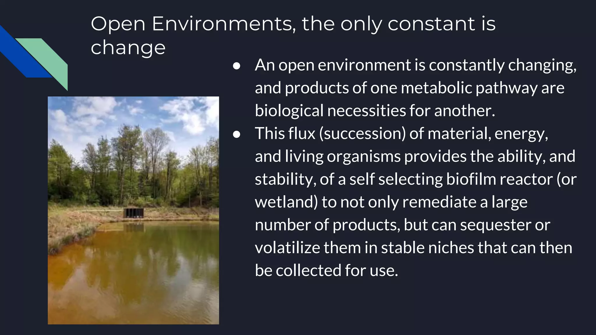 Open Environments, the only constant is
change
● An open environment is constantly changing,
and products of one metabolic pathway are
biological necessities for another.
● This flux (succession) of material, energy,
and living organisms provides the ability, and
stability, of a self selecting biofilm reactor (or
wetland) to not only remediate a large
number of products, but can sequester or
volatilize them in stable niches that can then
be collected for use.
 