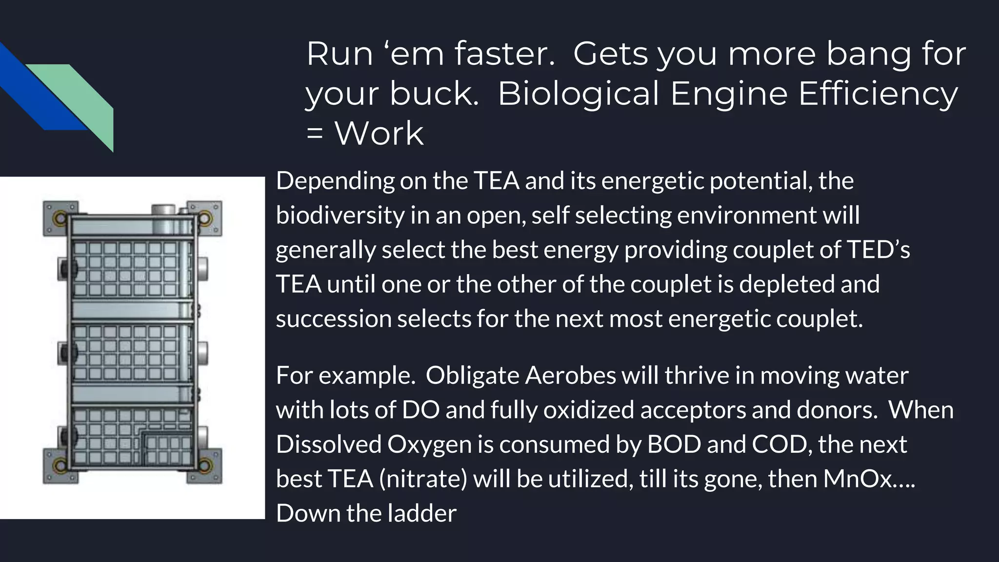 Run ‘em faster. Gets you more bang for
your buck. Biological Engine Efficiency
= Work
Depending on the TEA and its energetic potential, the
biodiversity in an open, self selecting environment will
generally select the best energy providing couplet of TED’s
TEA until one or the other of the couplet is depleted and
succession selects for the next most energetic couplet.
For example. Obligate Aerobes will thrive in moving water
with lots of DO and fully oxidized acceptors and donors. When
Dissolved Oxygen is consumed by BOD and COD, the next
best TEA (nitrate) will be utilized, till its gone, then MnOx….
Down the ladder
 