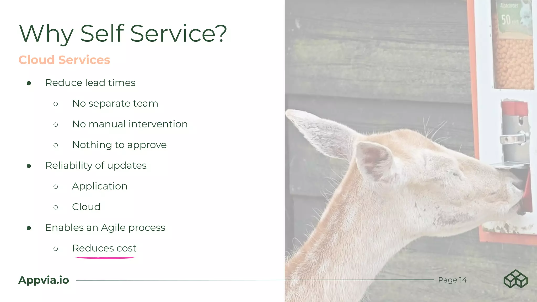 Appvia.io
● Reduce lead times
○ No separate team
○ No manual intervention
○ Nothing to approve
● Reliability of updates
○ Application
○ Cloud
● Enables an Agile process
○ Reduces cost
Why Self Service?
Cloud Services
Page 14
 