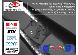 Fluidic mediated self‐assembly for complex, 
                                                                    hybrid micro/nanosystems
                                                J. Brugger, A. Martinoli, N. Spencer, B. Nelson, 
                                                                   H. Wolf, H. Knapp, L. Sciboz




SELFSYS - Fluidic-mediated self-assembly for hybrid functional micro/nanosystems
 