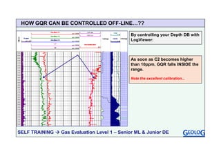 Gas Evaluation Level 1.pdf