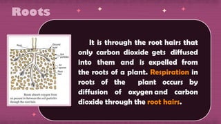 SEL GEN BIO.pptx einstein general biology | PPTX