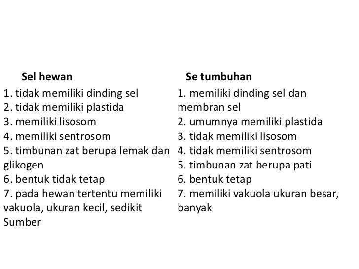 90 Koleksi Gambar Sel Hewan Dan Tumbuhan Ukuran Besar HD Terbaru