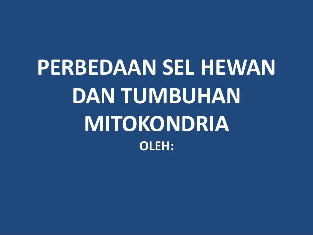 Sel hewan dan tumbuhan dan mitokandria Sel hewan dan tumbuhan dan mitokandria