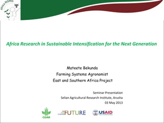 Africa Research in Sustainable Intensification for the Next Generation
Mateete Bekunda
Farming Systems Agronomist
East and Southern Africa Project
Seminar Presentation
Selian Agricultural Research Institute, Arusha
03 May 2013
 