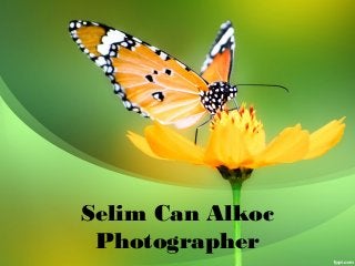 Selim Can Alkoc
Photographer
 