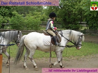… ist mittlerweile ihr Lieblingsstall Der Reitstall Schloßmühle… 