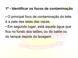 1º - Identificar os focos de contaminação •  O principal foco de contaminação do leite é a pele das tetas das vacas. •  Em segundo lugar, está aquela água que fica no fundo dos latões, ou do balde ou do tanque depois da lavagem. 