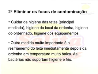 2º Eliminar os focos de contaminação •  Cuidar da higiene das tetas (principal mediada), higiene do local da ordenha, higiene do ordenhado, higiene dos equipamentos. •  Outra medida muito importante é o resfriamento do leite imediatamente depois da ordenha em temperatura muito baixa. As bactérias não suportam higiene e frio. 