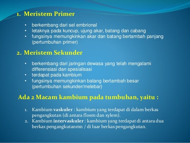 Sel, Jaringan dan Organ dari Hewan dan Tumbuhan