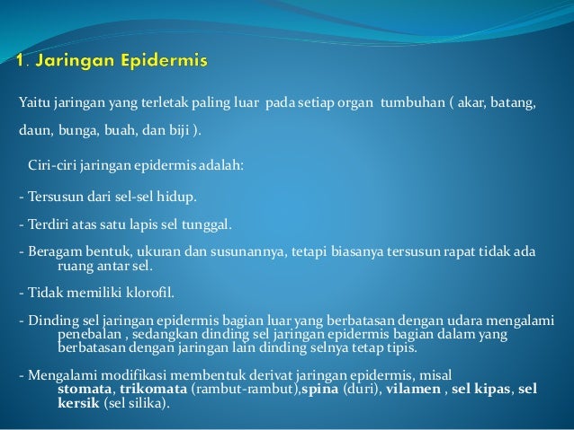Sel, Jaringan dan Organ dari Hewan dan Tumbuhan