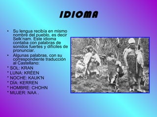 IDIOMA Su lengua recibía en mismo nombre del pueblo, es decir Selk’nam. Este idioma contaba con palabras de sonidos fuertes y difíciles de pronunciar. Algunas palabras, con su correspondiente traducción al Castellano: * SOL: KRAN  * LUNA: KRÉEN  * NOCHE: KAUK'N  * DÍA: KERREN  * HOMBRE: CHOHN  * MUJER: NAA . 