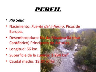PERFIL
• Río Sella
• Nacimiento: Fuente del infierno, Picos de
Europa.
• Desembocadura: Ría de Ribadesella (mar
Cantábrico) Principado de Asturias.
• Longitud: 66 km.
• Superficie de la cuenca: 1.284 km²
• Caudal medio: 18,07 m³/s1