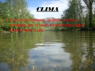 CLIMA
• Es un clima Oceánico, es decir, lluvioso y
templado, por lo tanto, tiene bastante agua
durante todo el año.