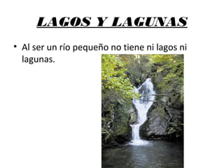 LAGOS Y LAGUNAS
• Al ser un río pequeño no tiene ni lagos ni
lagunas.