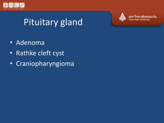 Pituitary gland
• Adenoma
• Rathke cleft cyst
• Craniopharyngioma
 