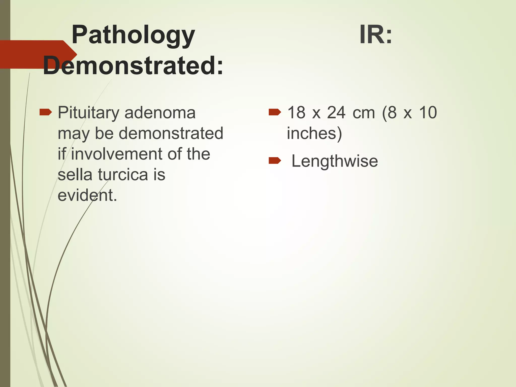 Sella Turcica (RAD32) | PPTX