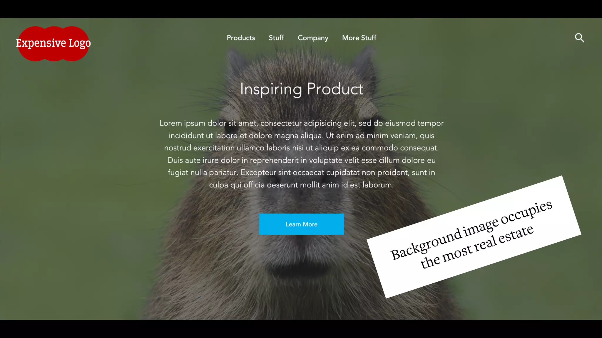 Background image occupies
the mostrealestate
Expensive Logo
 