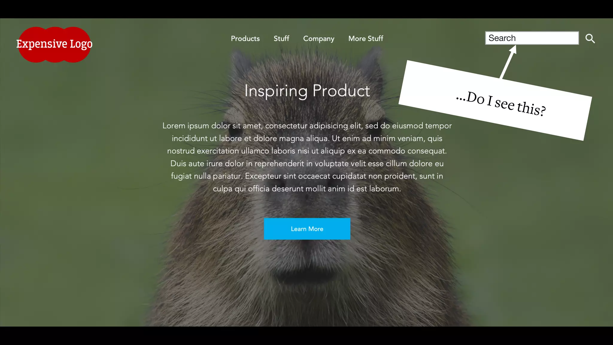 Search
…Do I see this?
Expensive Logo
 