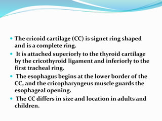  The cricoid cartilage (CC) is signet ring shaped
and is a complete ring.
 It is attached superiorly to the thyroid cartilage
by the cricothyroid ligament and inferiorly to the
first tracheal ring.
 The esophagus begins at the lower border of the
CC, and the cricopharyngeus muscle guards the
esophageal opening.
 The CC differs in size and location in adults and
children.
 