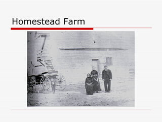 Homestead Farm 