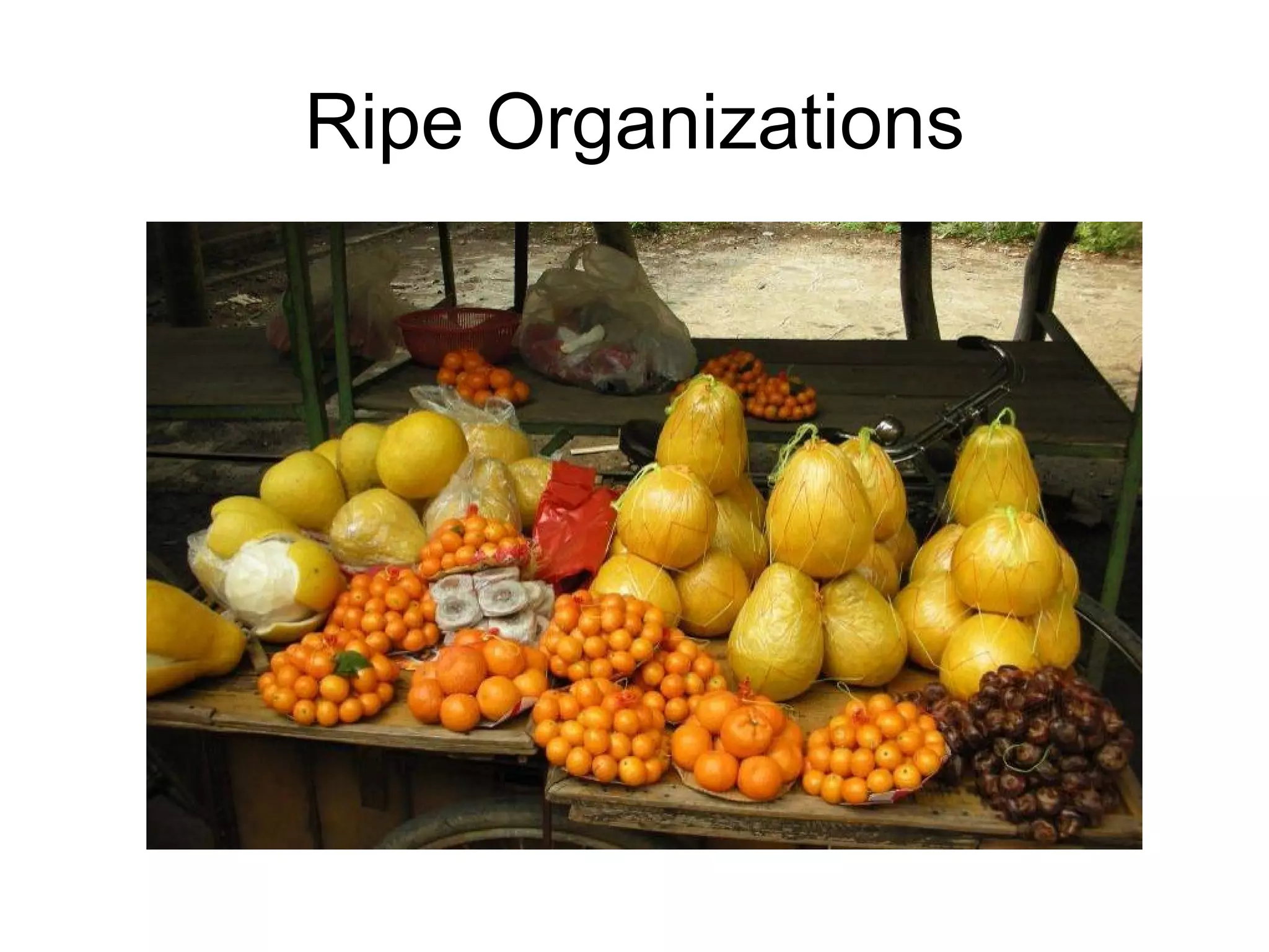Ripe Organizations 
