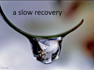 a slow recovery,[object Object],Photo by Steve Wall,[object Object]