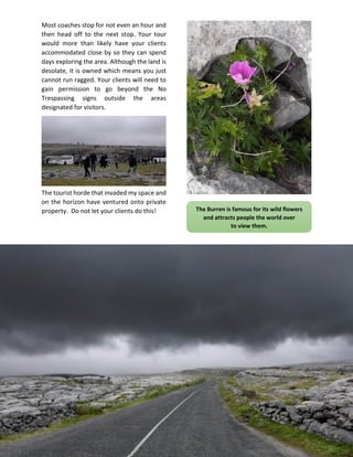 Most coaches stop for not even an hour and
then head off to the next stop. Your tour
would more than likely have your clients
accommodated close by so they can spend
days exploring the area. Although the land is
desolate, it is owned which means you just
cannot run ragged. Your clients will need to
gain permission to go beyond the No
Trespassing signs outside the areas
designated for visitors.
The tourist horde that invaded my space and
on the horizon have ventured onto private
property. Do not let your clients do this! The Burren is famous for its wild flowers
and attracts people the world over
to view them.
 