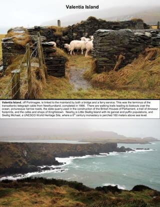 Valentia Island, off Portmagee, is linked to the mainland by both a bridge and a ferry service. This was the terminus of the
transatlantic telegraph cable from Newfoundland, completed in 1866. There are walking trails leading to lookouts over the
ocean, picturesque narrow roads, the slate quarry used in the construction of the British Houses of Parliament, a trail of dinosaur
footprints, and the cafes and shops of Knightstown. Nearby is Little Skellig Island with its gannet and puffin populations, and
Skellig Michael, a UNESCO World Heritage Site, where a 6th
century monastery is perched 160 meters above sea level.
Valentia Island
 
